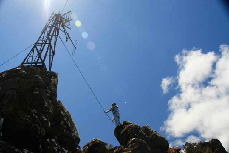 Forest Education Foundation The stories behind our trees