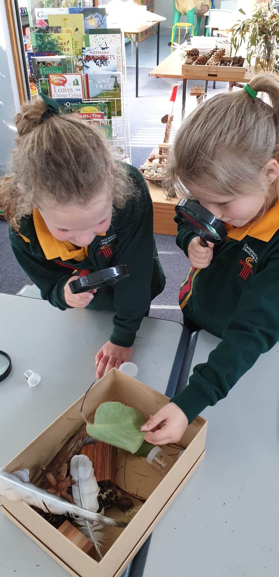 Forest Education Foundation The stories behind our trees