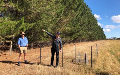 Trees on Farms at The NAAE Conference 2018