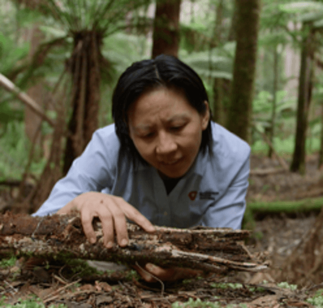 Marie Yee – Conservation Planner
