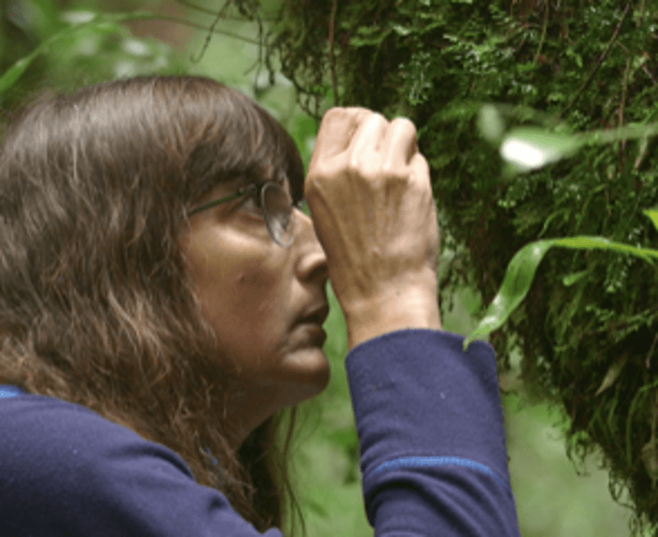 Sue Baker – Forest Conservation Biologist