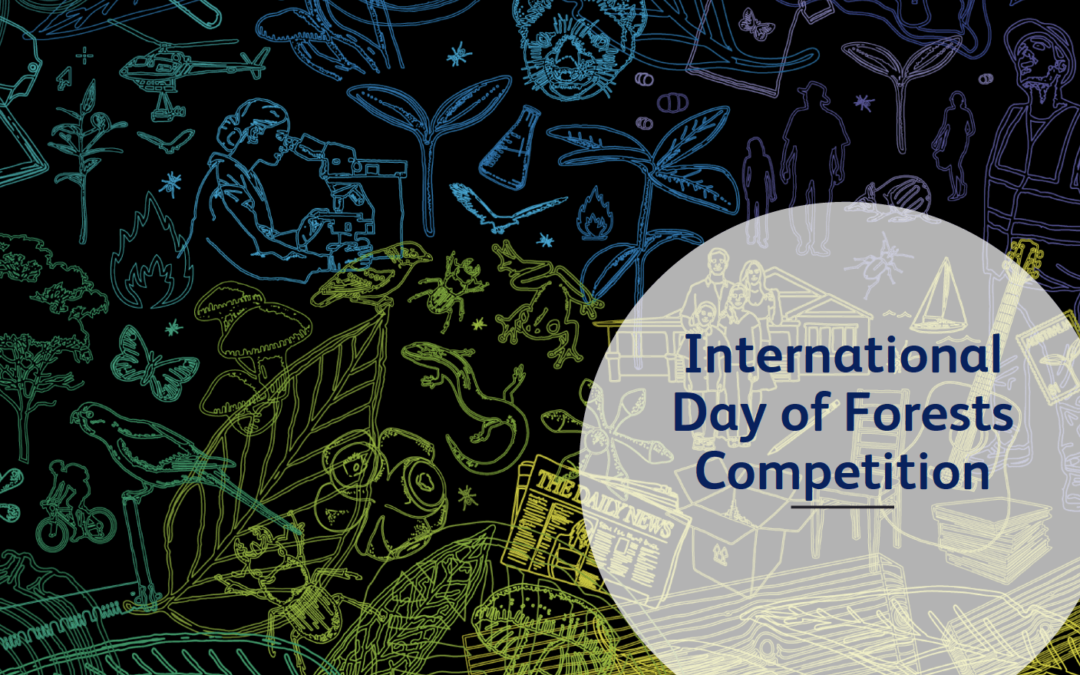 International Day of Forests Competition