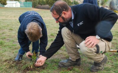 Forest Focus – Schools Tree Day