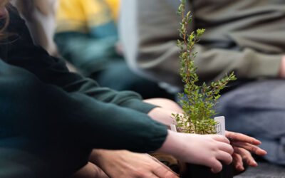 Schools Tree Day Celebrations – July 2022