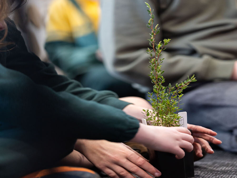 Schools Tree Day Celebrations – July 2022