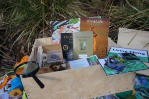 Overview of forest in a box kit contents
