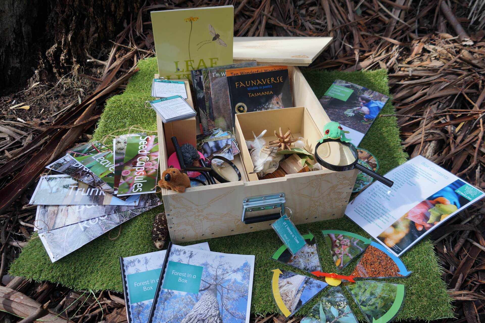 contents of early years forest in a box