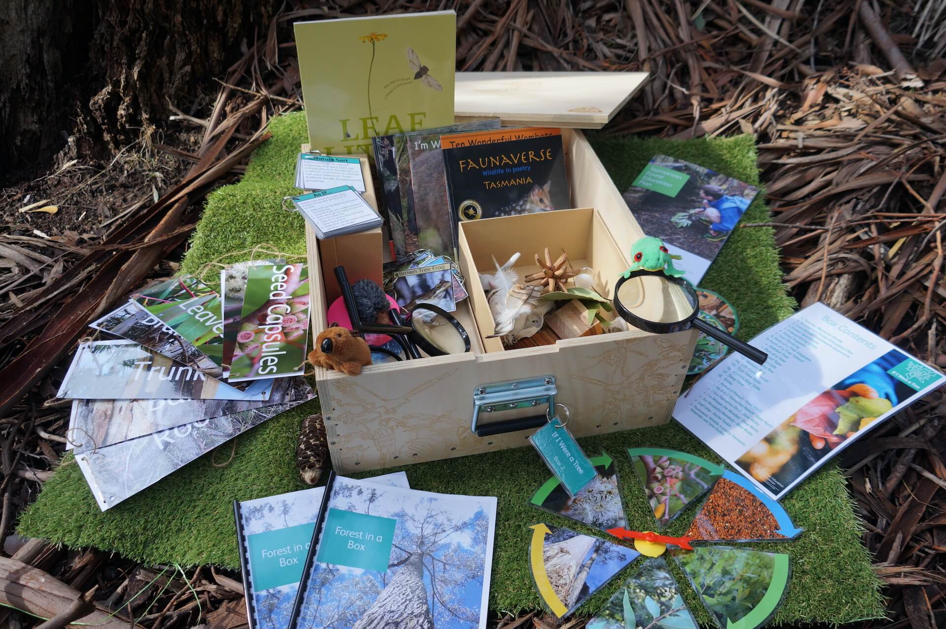 contents of early years forest in a box