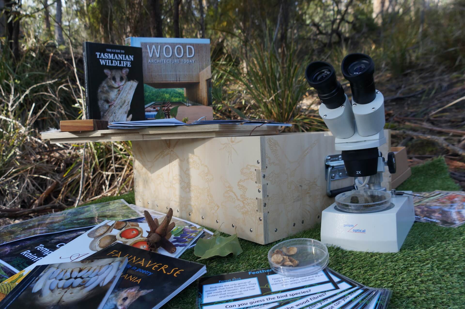 kit contents forest in a box adaptation station