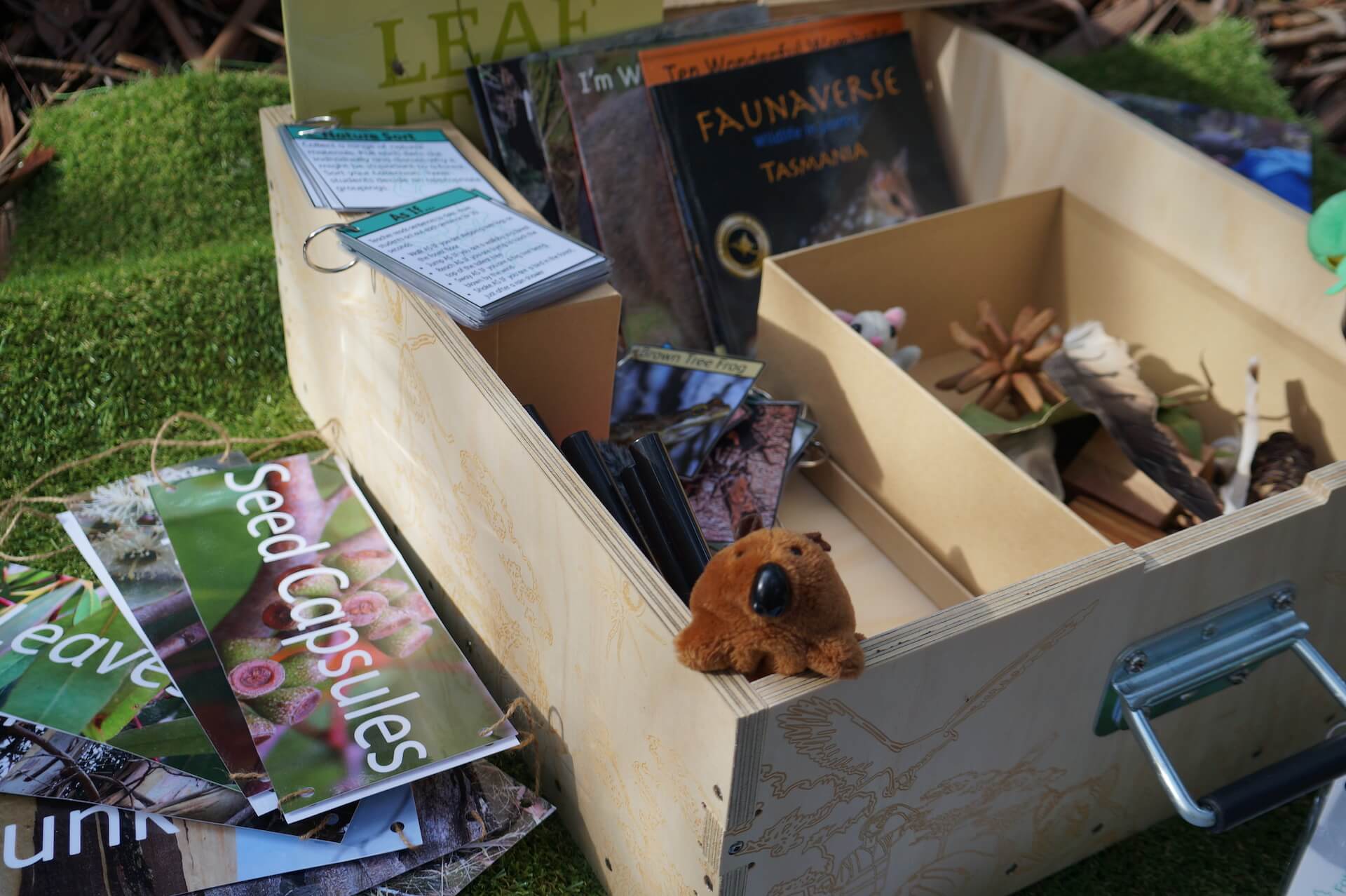 contents of early years forest in a box