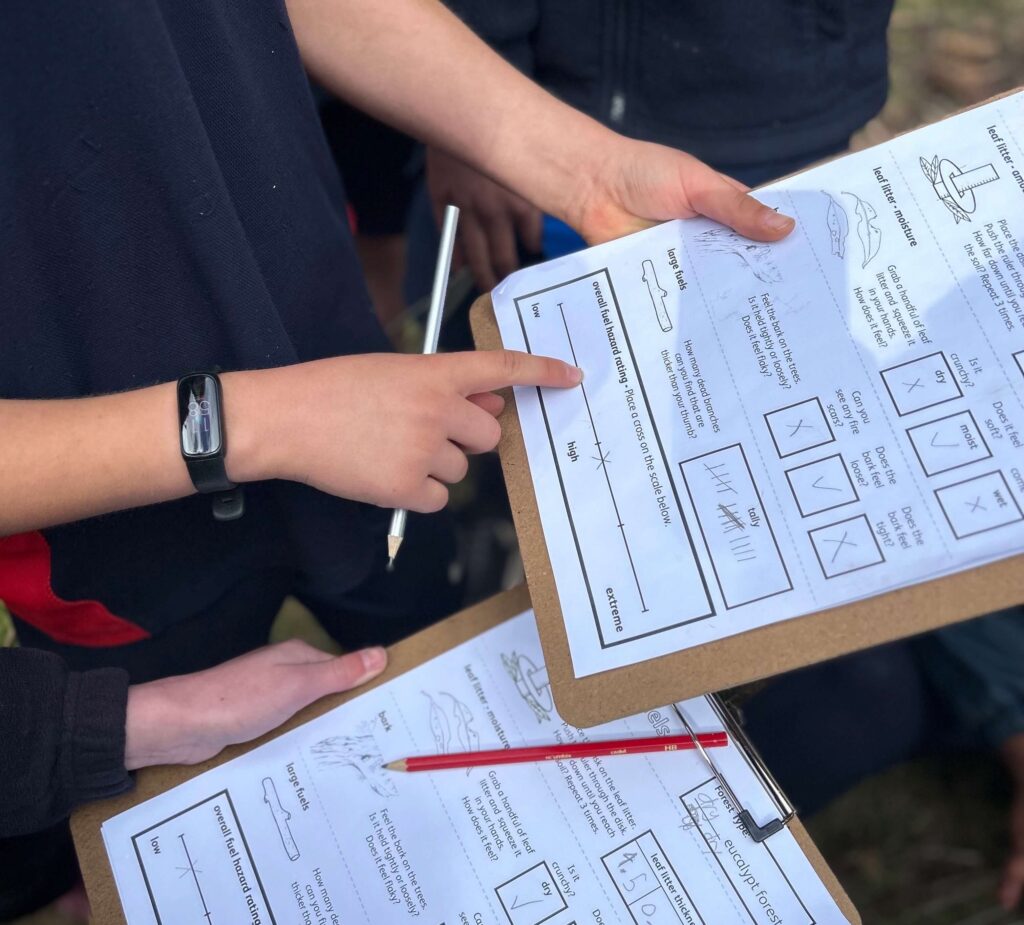 fire and forests program students collecting data on forest and fire