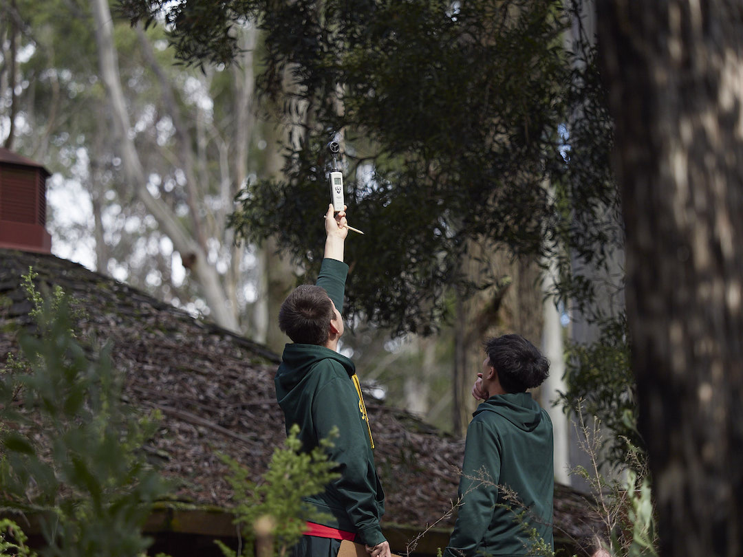 secondary students collecting data in the forest
