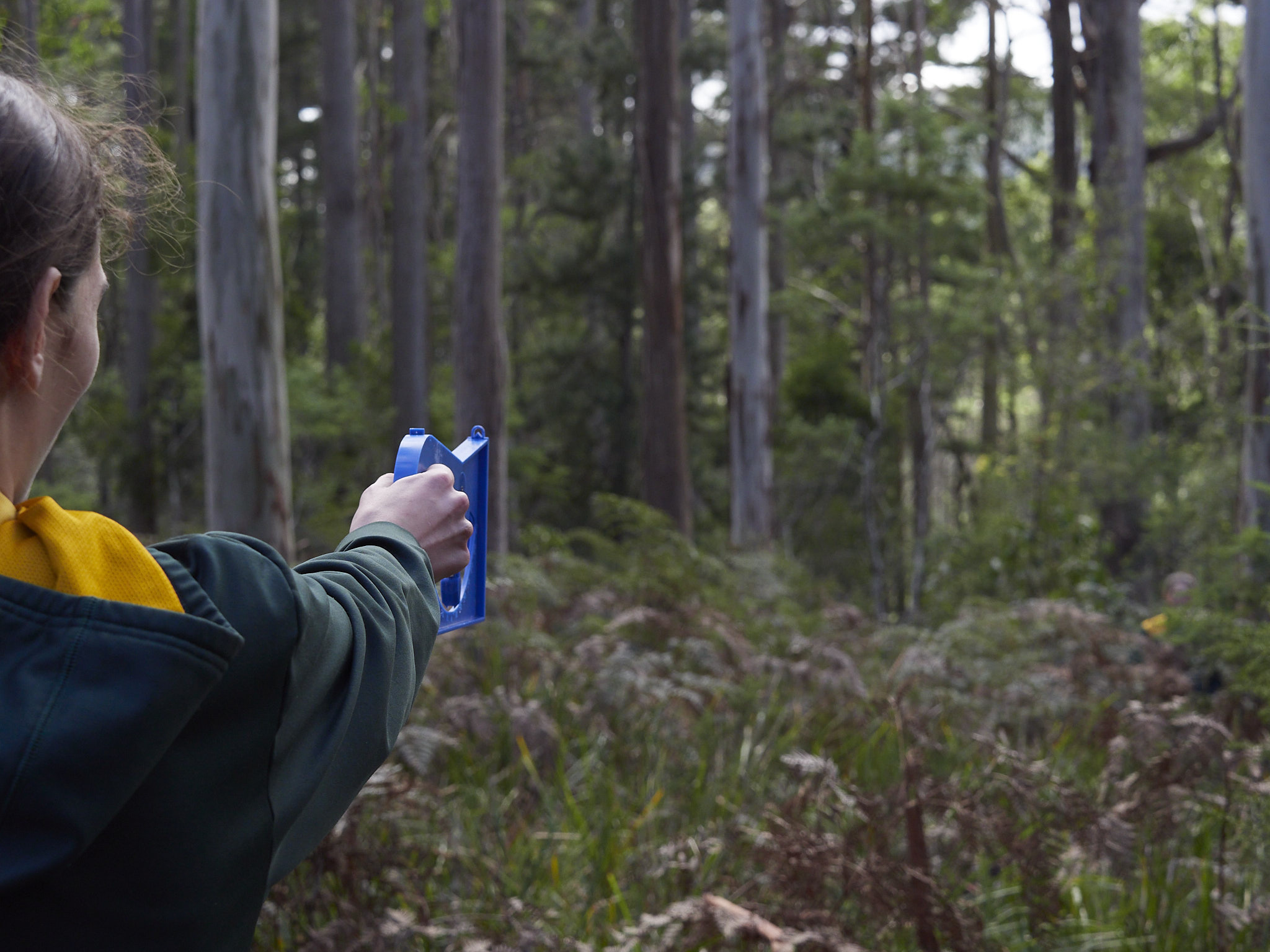 Year 10 Geography_ Hollybank Reserve (17) high school student using equipment in forest