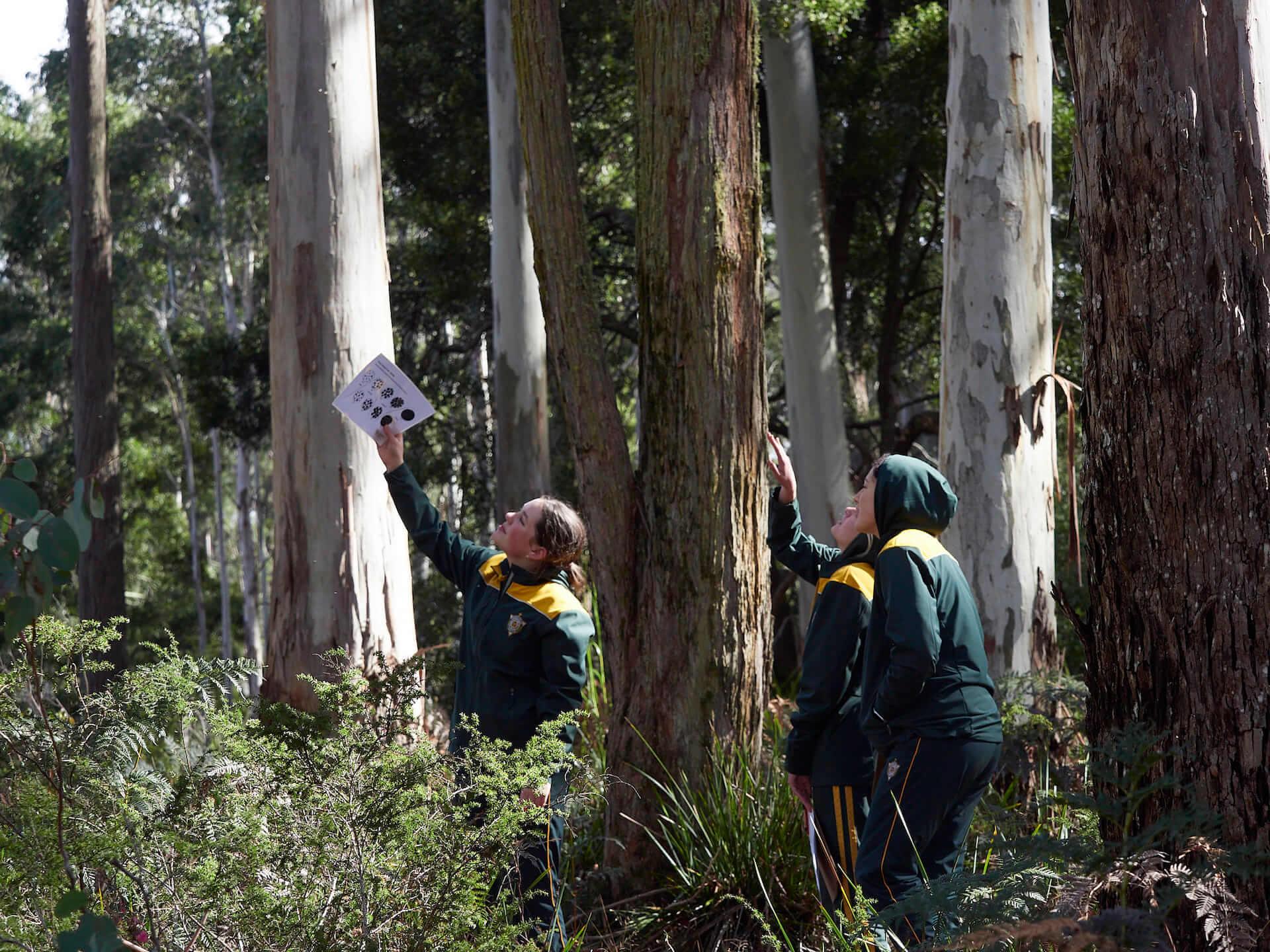 secondary students in forest collecting data