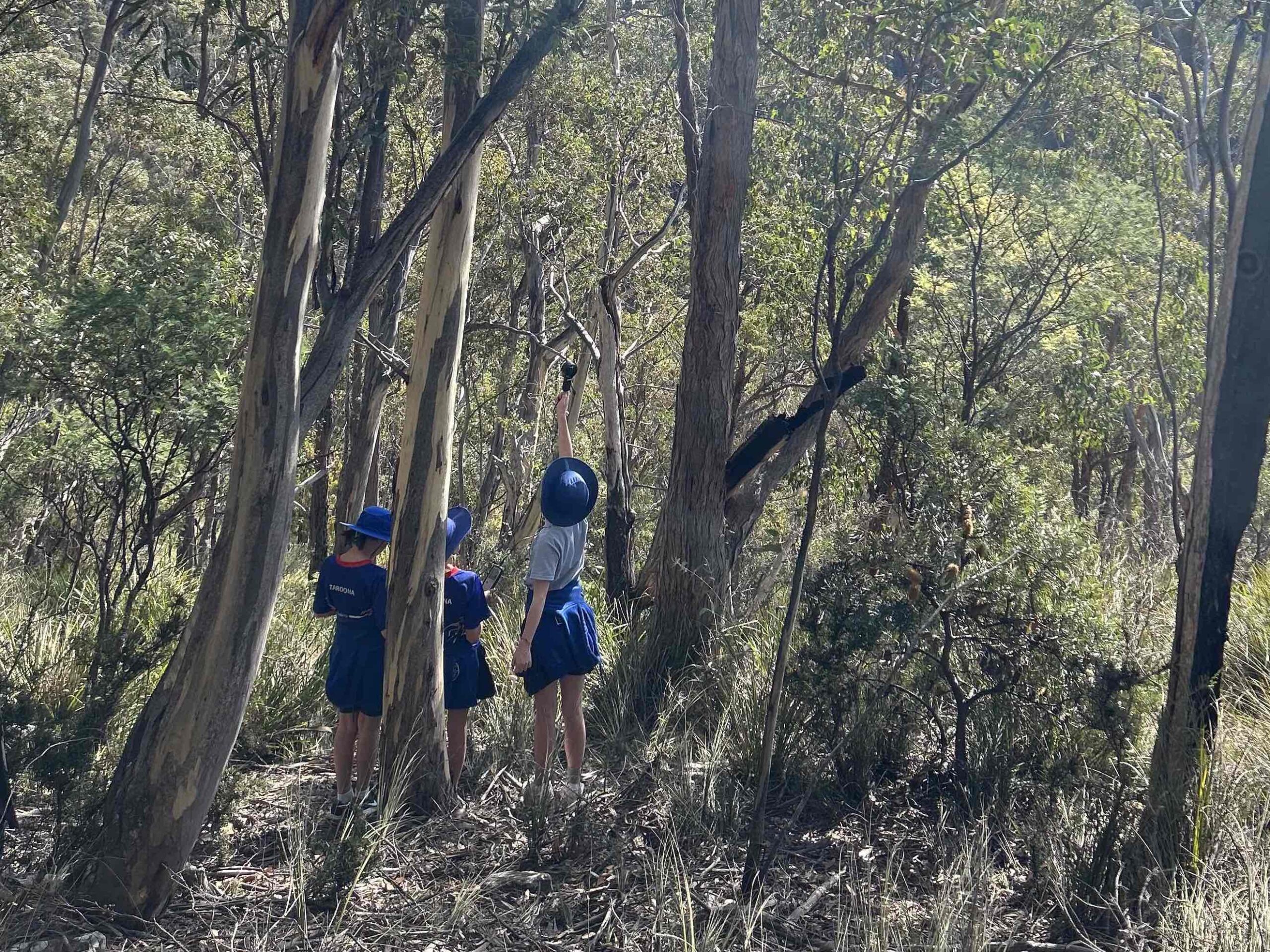 child with back pack in forest