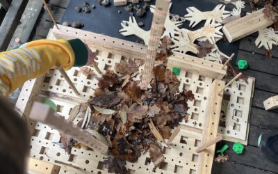 Creativity and Design at the Royal Tasmanian Botanical Gardens