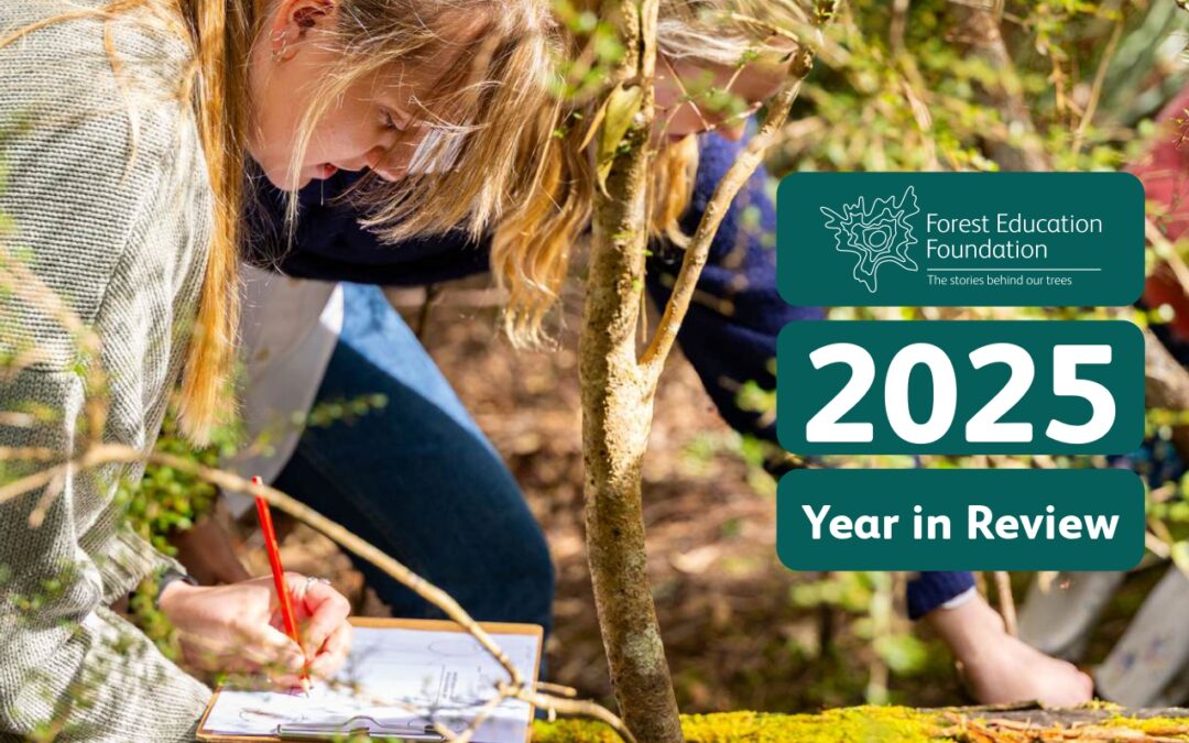 Year in Review – 2025