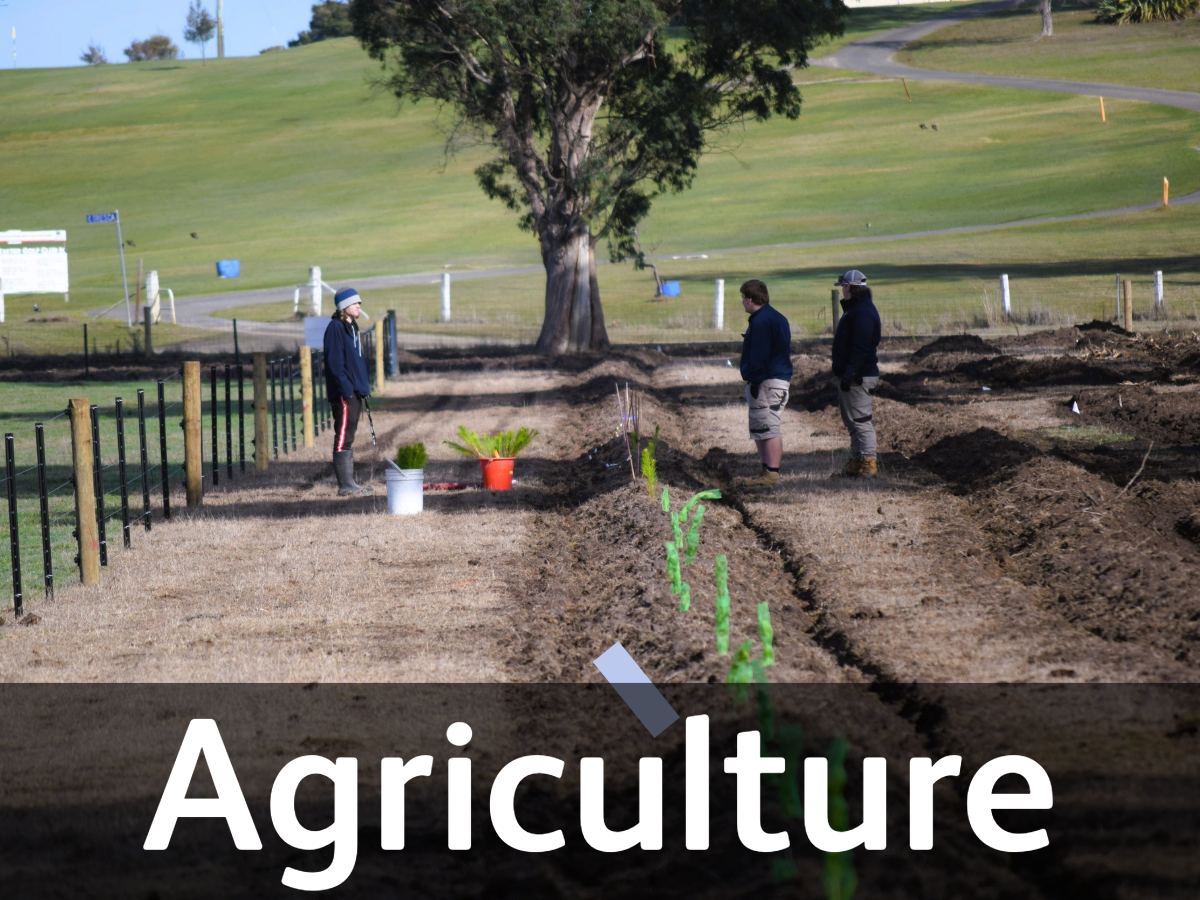 agriculture