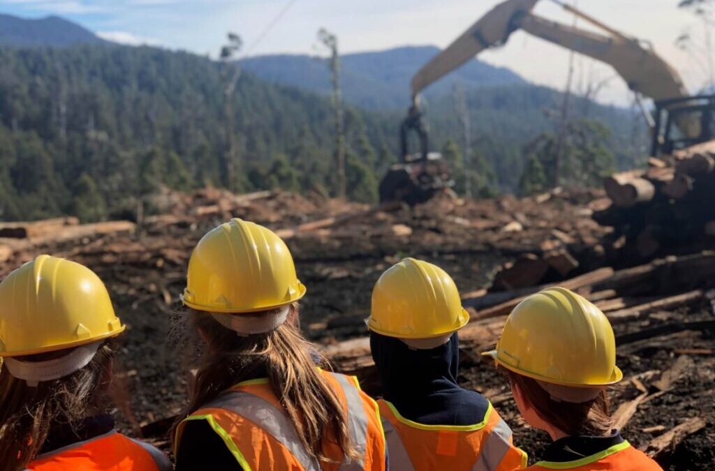 From Forest to Product with Huonville Primary