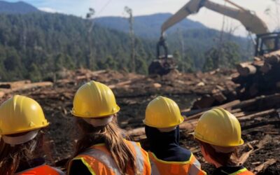 From Forest to Product with Huonville Primary